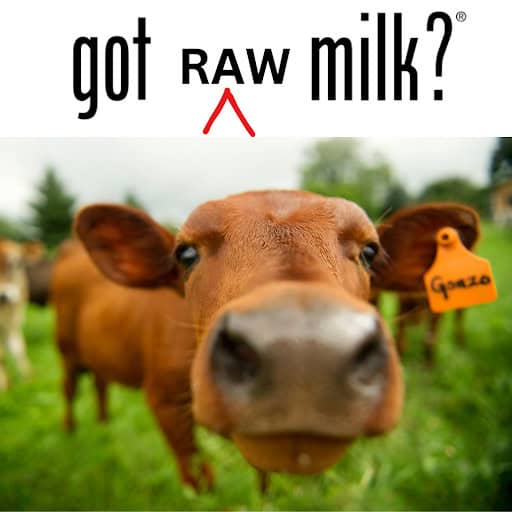 raw-milk Raw Milk