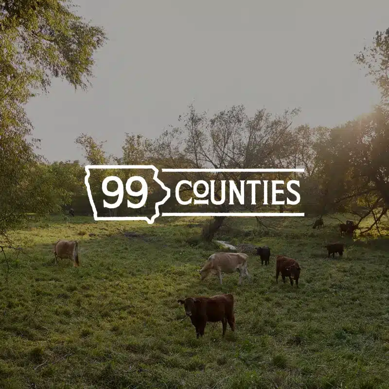 99-counties-featured-image