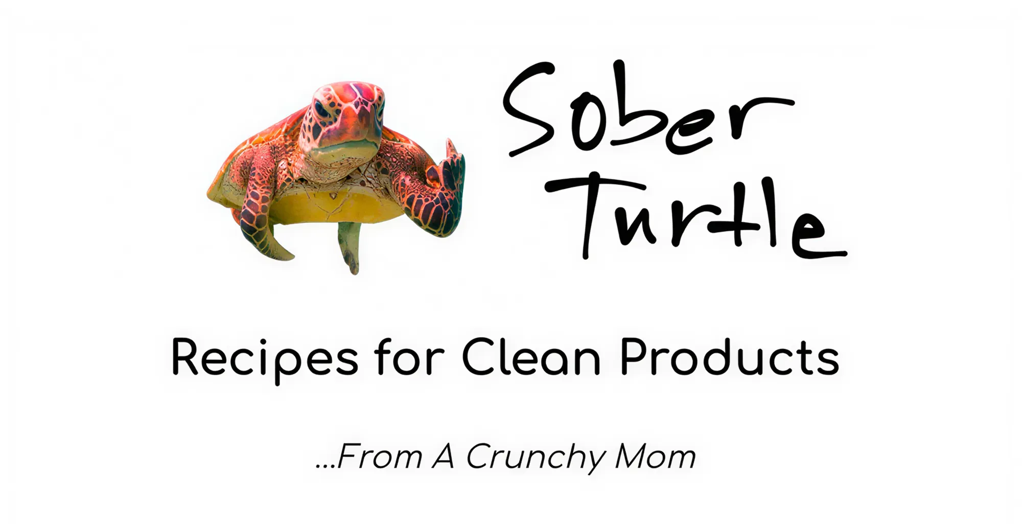 Sober Turtle Recipes: Your DIY Guide to Toxin-Free Skin, Hair, and Oral Care